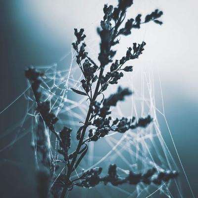 乐发app最新版下载