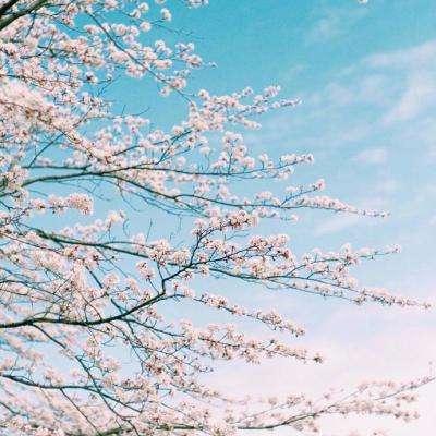 米乐下载地址手机app下载